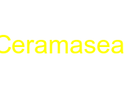 Ceramaseal