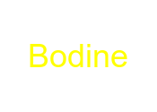 Bodine