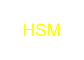 HSM